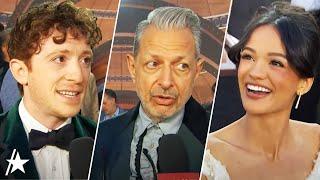 Ethan Slater, Jeff Goldblum, Marissa Bode & MORE 'Wicked' Cast Interviews