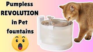 Elfin Fountain for Cats - Pumpless REVOLUTION in Pet water fountains Review