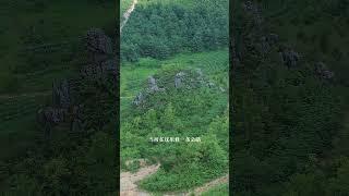 这个山就算省长来了也不让挖,像一座万年山体乌龟 ,活灵活现 #神奇的大自然 #神奇的贵州