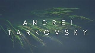 The Beauty Of Andrei Tarkovsky