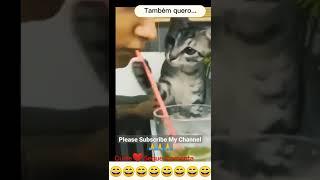 Funniest Cat Video | Funny Cats video | Funny Cats memo #cat #funnycat #pet #catforever #catlover