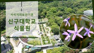 [국립생태원] 경기도 성남시에 신구대학교식물원이 있다!_서식지외보전기관