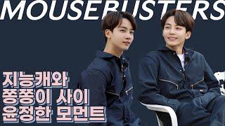 [세븐틴/정한] 지능캐와 쫑쫑이 사이 마우스버스터즈 윤정한 모아보기 MOUSEBUSTERS