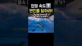 접영 속도를 올리는 방법