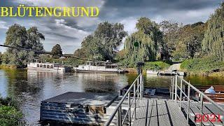 BLÜTENGRUND GROßJENA | Reise durch das SAALE UNSTRUT TRIASLAND | 2021 Herbst Naumburger Blütengrund