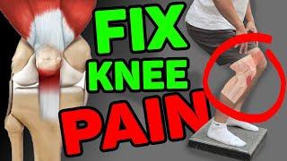 Best 3 Exercises To Fix Patellar Tendonitis & Knee Injuries | No More KNEE PAIN