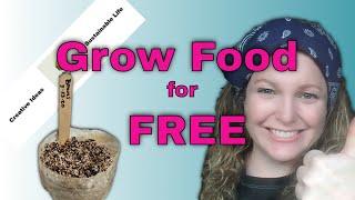 Grow Food for Free - Start Your DIY Vegetable Garden At Home for FREE!