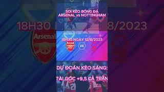 Nhận định bóng đá: Arsenal vs Nottingham Forest, 18h30, ngày 12/8/2023 #soikeobongda #tipbongda