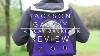 Our Honest Review of the Jackson Galaxy, Cat Backpack!