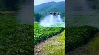 agriculture drone sprayer #shorts #farming #khetibadi