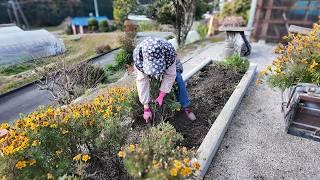 【田舎暮らし】夫婦で仲良く花壇を植え替えました！【vlog】