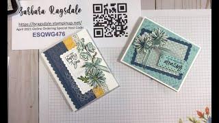 Color & Contour Bundle/Pattern Party DSP Cards