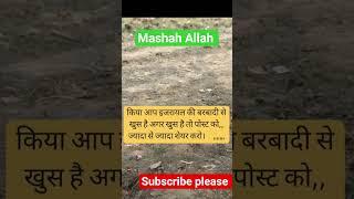 Apne leaders ki Qadar kroBahen ke jazbe ko salam🫡🫡#shorts #youtubeshorts #trending #palestine
