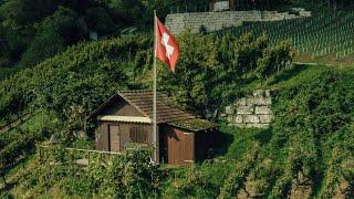 Introduction to Swiss Wines