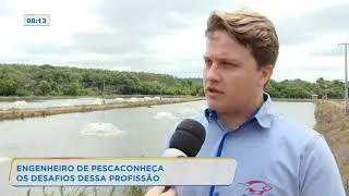 Engenheiro de pesca: conheça os desafios da profissão