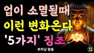 업장이 소멸될때 나타나는 변화 '5가지' 징조ㅣ부처님 말씀ㅣ불교 명언ㅣ석가모니 가르침