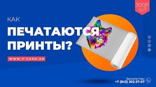 Как печатаются принты для одежды? Показываем процесс