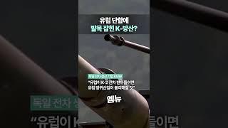 유럽 단합에 발목 잡힌 K-방산?