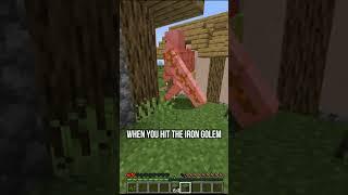 Things You Should NEVER DO in Minecraft