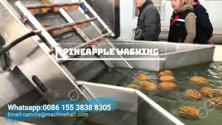 Pineapple Juice Processing Machine-Pineapple Juice Factory