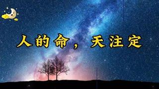 散文诵读《人的命，天注定》多些包容和理解，一切都是最好的安排