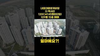 내포신도시 대광로제비앙|120㎡ 45평B타입 매매|내포아파트는 무조건 센트럴 아시죠?! ^^ #내포중흥s클래스 #내포반도유보라 #내포상가#내포이지더원3차