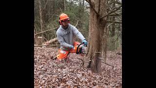 Building Electric bikes, frost seeding & consulting update...