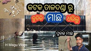 କଟକ ତାଳଦଣ୍ଡା କେନାଲ ପୋହଳା ମାଛ ଧରା | Cuttack Chenal Bridge Tale Machha dhara | H Magu Vlogs