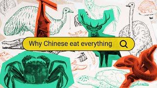 Why Do Chinese People Seem to Eat 'Everything'? - Why Chinese (E1)