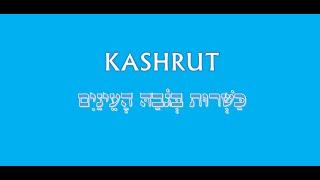 R Haim Ovadia - Kosher Your Kitchen in One Hour, part 4: The Myths of the Star-K guide 1