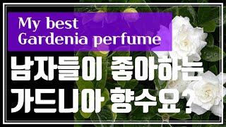 [치자꽃 향수 추천] 가드니아 향수(Gardenia Perfume)추천해요! 마크제이콥스 우먼/엘리자베스테일러가드니아/ 돌체앤가바나 벨벳 디자이어/ 샤넬가드니아는 블라인드 No!