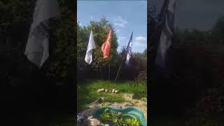 КОИ КЛУБ РГО Волоколамск
