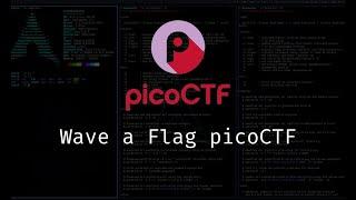 Uncover the Secrets: Wave a Flag PicoCTF Walkthrough #picoctf #ctf