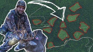 Using Big Woods CLEAR CUTS To Kill BIG BUCKS!!!