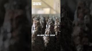 레이저 컷팅 쓰레기(?)