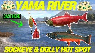 Russian Fishing 4 Sockeye & Dolly HOTSPOT (Yama River)