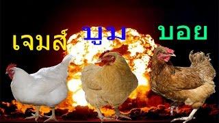 ก๊วนซ่าพาปล่อยไก่ huhulife [OPZTV]