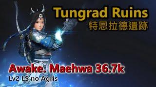 BDO | Tungrad Ruins | Awakening Maehwa | 36.7k trash/h | Lv2 LS no Agris