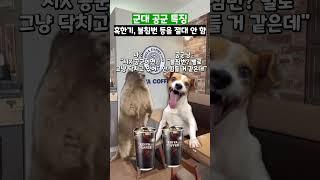 군대 공군 특징 #shorts #군대