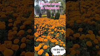 Flower show in Wayanad 13/01/2025. #shortsfeed #flowershow #shorts