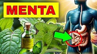 THE HEALING POWER of MINT (OIL and TEA) HOW TO USE IT