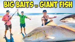 CATCHING GIANT Fish FROM THE BEACH! (SHARK FISHING CHALLENGE)