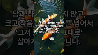 나비의 꿈 진짜 자유란 무엇인가 – 장자 1분 요약       #고전철학 #동양철학 #삶의지혜