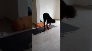 Yoga for Beginners| Forward Bend  | Yoga Teacher Training in Rishikesh