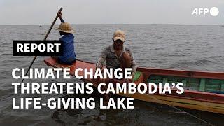 Cambodia's giant life-giving Tonle Sap lake in peril | AFP