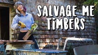 Episode 5: Salvage Me Timbers