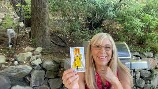 SAGITTARIUS~They Were Wrong About YOU ! They're GOING TO  BE SOO Good To You !  July tarot