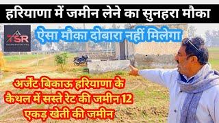 agriculture land for sale in Haryana अर्जेंट बिकाऊ 12 एकड़ खेती की जमीन कैथल