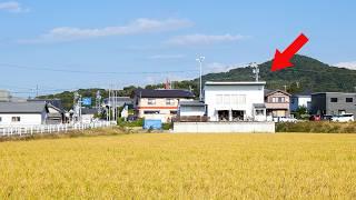 デカ唐揚げ！天ぷら！田んぼにポツンと行列うどん店を営む敏腕店主がスゴかった・・・丨Japanese Sanuki Udon