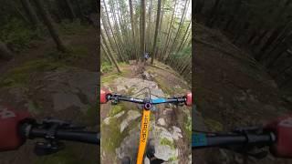 Is TRIPPLE BLACK a Pro Line? #mountainbike #enduro #bike #downhill #enduromtb